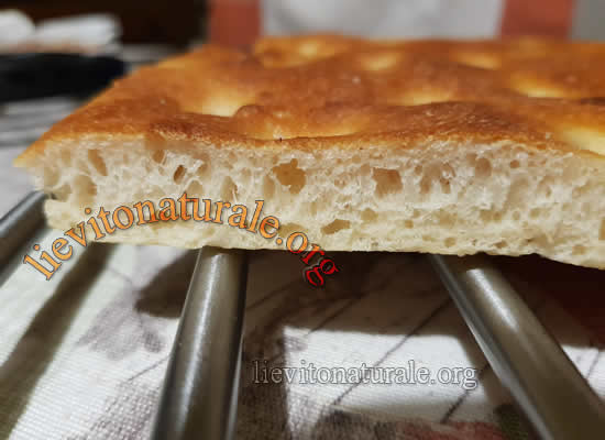 Focaccia rustica in teglia con rosmarino Lievito Naturale o Lievito Madre o  Pasta Madre