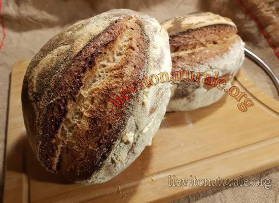 Pane con farina di Segale integrale e Lievito Madre Naturale o Pasta Madre  e Farina Macinata a Pietra