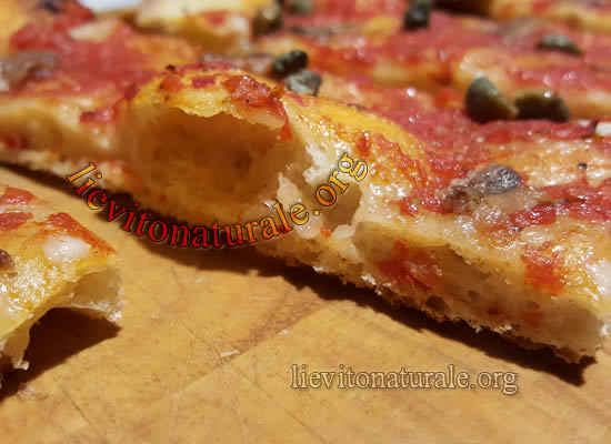 Pizza in teglia/pala con lievito madre - MaterPro